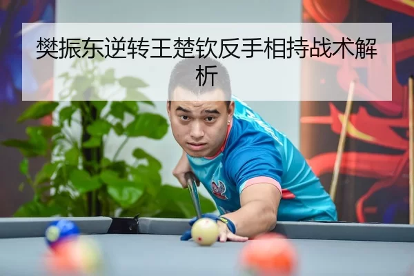 樊振东逆转王楚钦反手相持战术解析